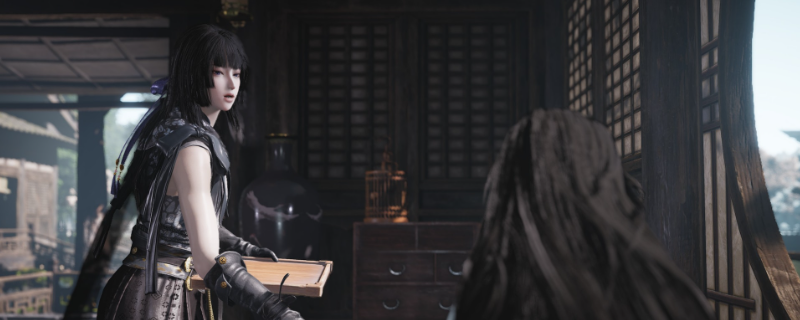 《燕云十六声》威流派攻略分享