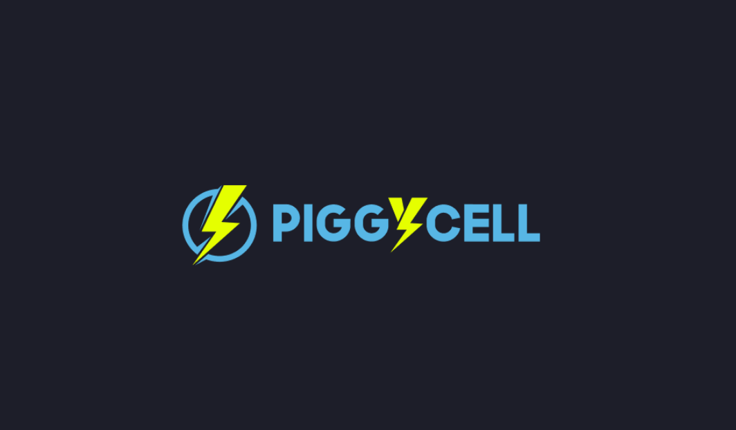 PIGGY币究竟是什么-PIGGY币为何能成为现实充电网络的链上通行证