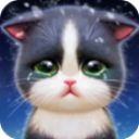 小猫爱消除无限金币