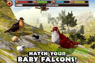 猎鹰模拟器中文版下载