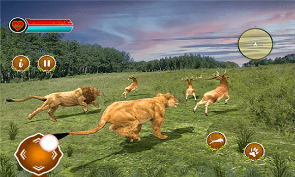 丛林霸主 丛林霸主