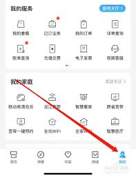 如何快速查看我的订单-轻松掌握本人订单查询方法