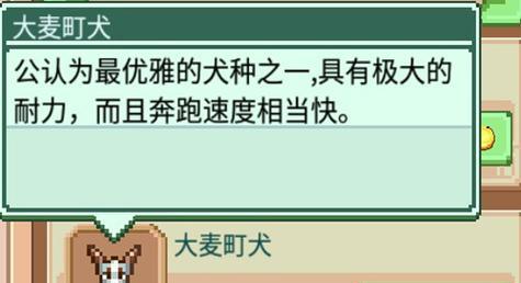 中华田园犬出装攻略——打造独一无二的时尚宠物(从头到脚,精选装扮,助您的中华田园犬成为街头焦点)-第3张图片- 中华田园犬出装攻略——打造独一无二的时尚宠物(从头到脚,精选装扮,助您的中华田园犬成为街头焦点)-第3张图片-