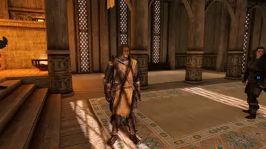 《上古卷轴5：天际重制版》怀特伦塔那盔甲MOD