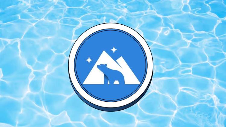 Kodiak Finance(KDK)币解析：未来价值展望与KDK代币经济深度解读