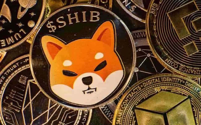 shib哪里能买？热门数字货币交易所排名