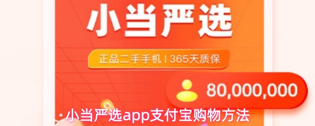 小当严选app支付宝购物方法