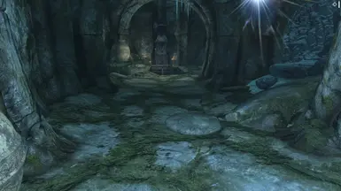 《上古卷轴5：天际重制版》卑鄙的隐形陷阱MOD