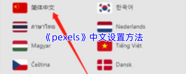 《pexels》中文设置方法
