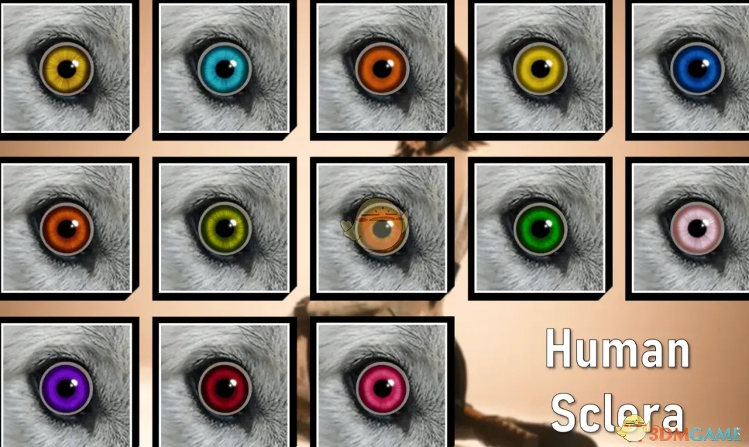 《赛博朋克2077》猎狼之眼MOD