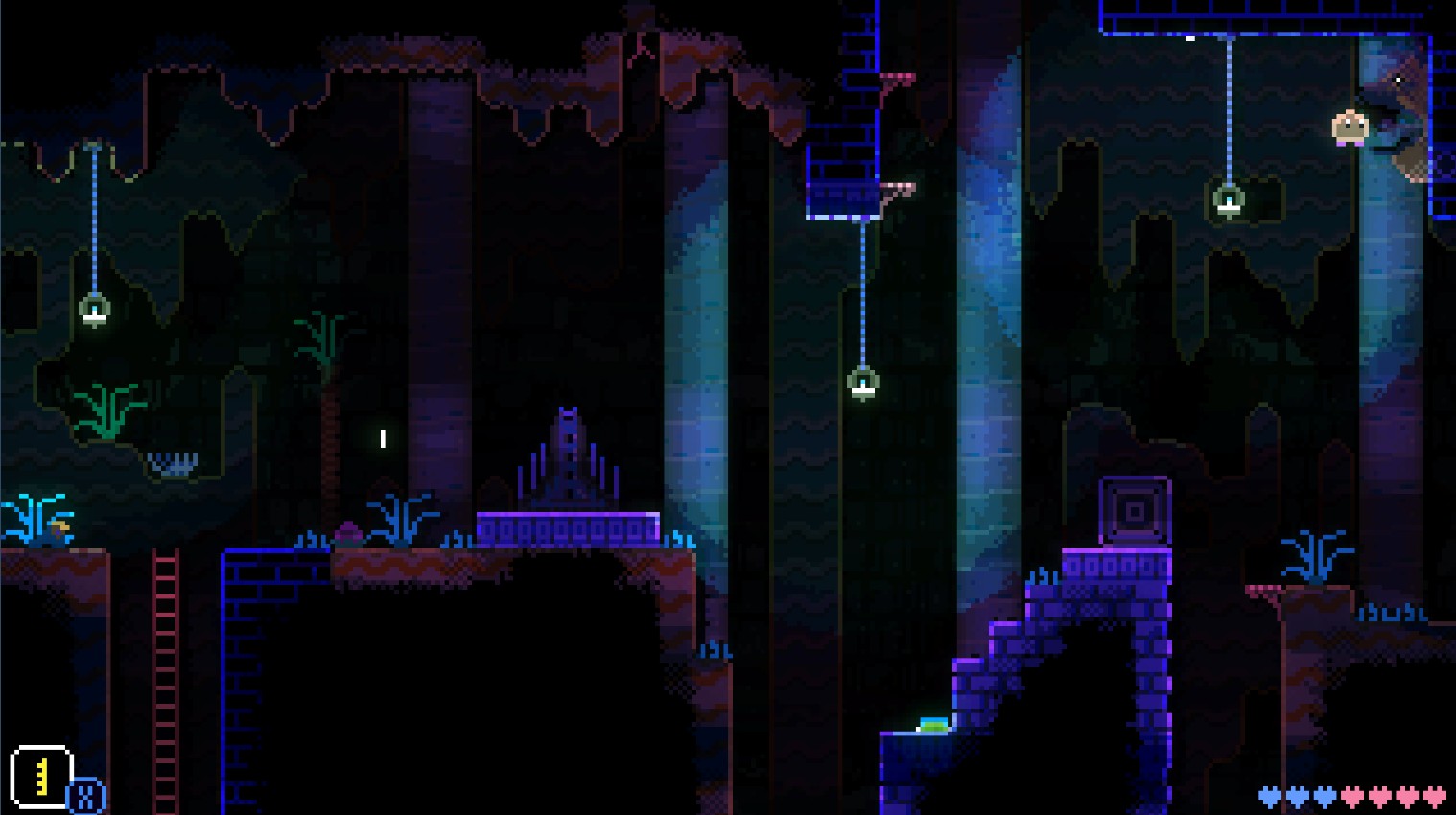 动物井怎么轻松的运输圆盘