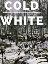 冷白免安装正式中文版