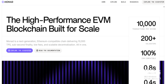 Monad区块链协议解析-MON代币未来发展与市场前景展望