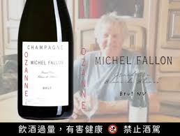 Afallon官网地址在哪