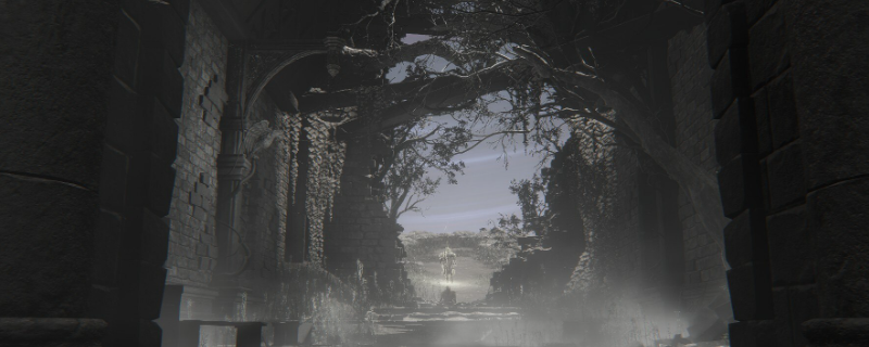 《艾尔登法环：黑夜君临》执行者角色强度介绍