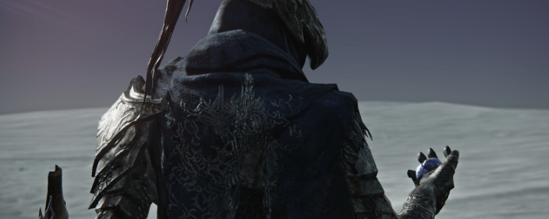 《艾尔登法环：黑夜君临》复仇者角色强度介绍