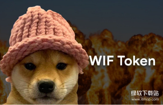 WIF币为何充满文化基因-揭秘迷因币火爆的核心密码