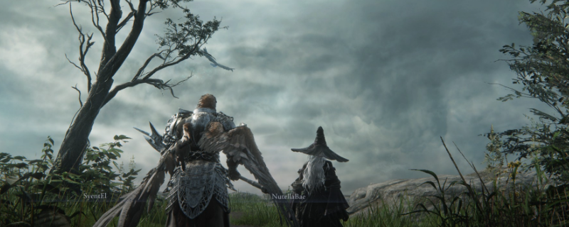 《艾尔登法环：黑夜君临》夜王冰龙打法攻略