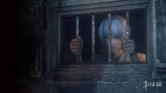 《零红蝶重制版》立花树月角色图鉴-守护与使命的白发男子