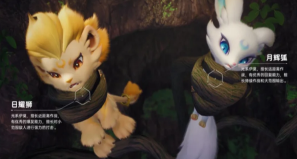 伊莫宠物二选一攻略 伊莫宠物选择指南与实用对比分析