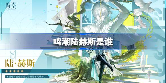 鸣潮陆赫斯角色详情