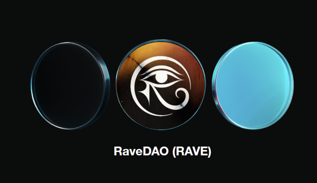 RAVE币有何特点-持有者如何参与活动选址与公益资金决策
