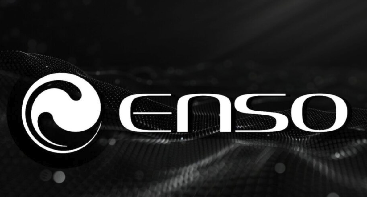 ENSO币核心用途解析-为何生态聚焦治理与网络安全