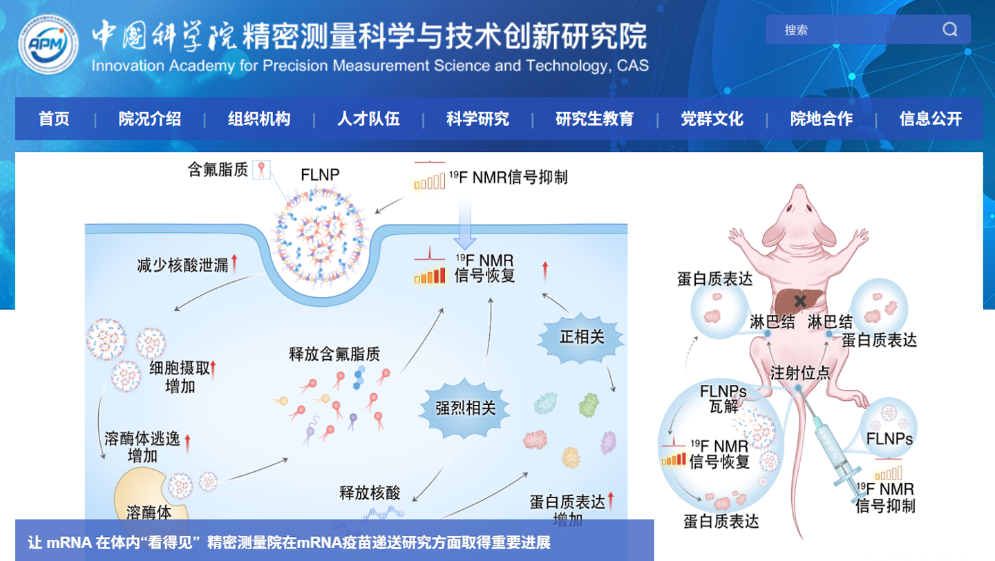 让 mRNA 在体内&ldquo;看得见&rdquo;，我国科学家在疫苗递送研究方面取得重要进展