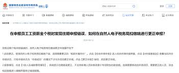 个人所得税申报错误如何修改