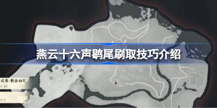 燕云十六声鹖尾怎么刷取一览