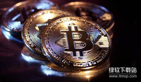 比特币储备策略解析-机构投资者的关键意义