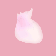 生命life安卓版中文下载