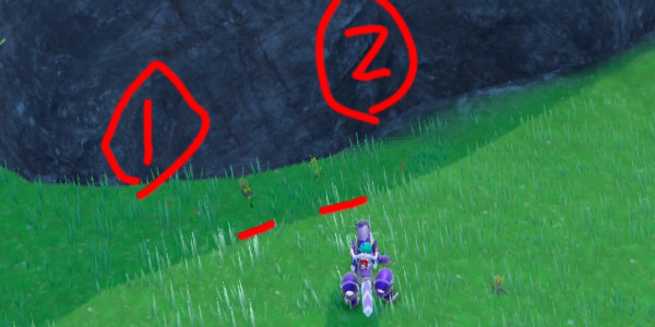 《宝可梦朱紫》草苗龟-火斑猫-电击兽-杯茶闪光刷取攻略