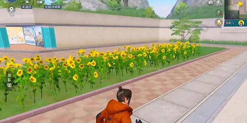 和平精英花圃种子怎么获得