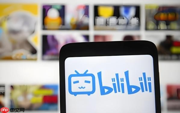 Bilibili官网登录入口地址分享-Bilibili网页版快速访问通道