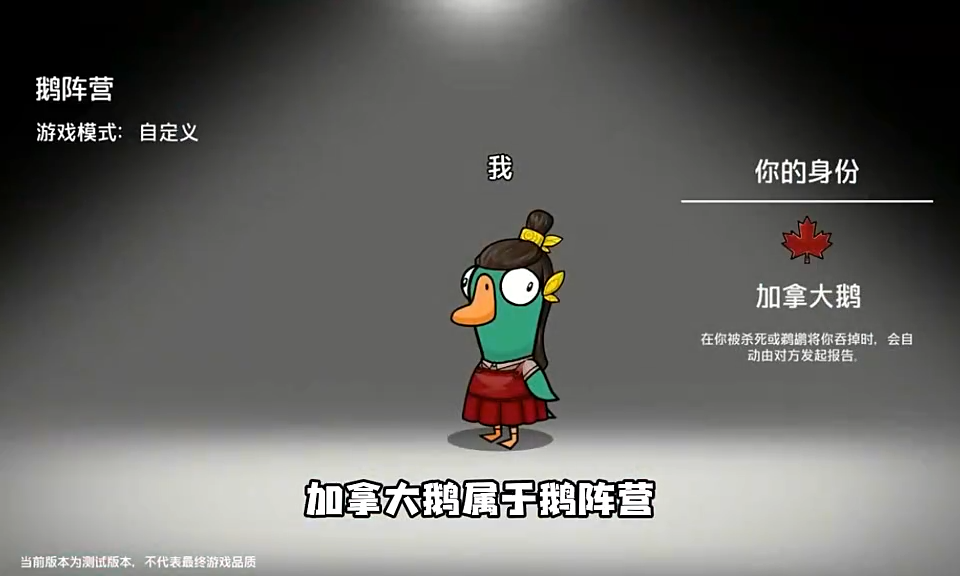 鹅鸭杀鹅阵营加拿大鹅介绍