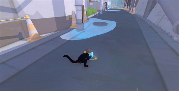 《小猫咪大城市》遇到一只鸟儿攻略