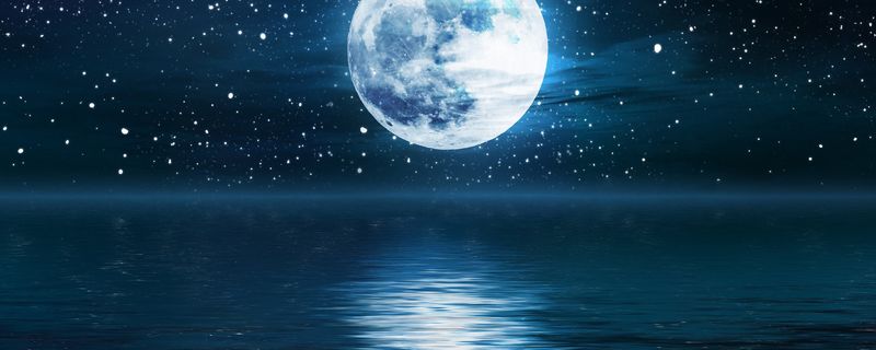 六便士与月亮-这个梗到底什么意思