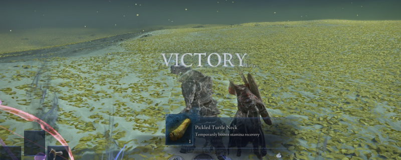 《艾尔登法环：黑夜君临》女爵流派推荐