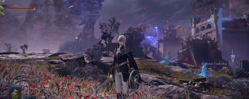 《艾尔登法环：黑夜君临》隐士流派推荐