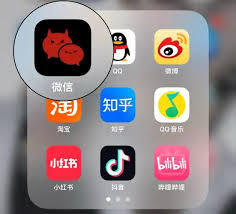 抖查查app如何更换微信
