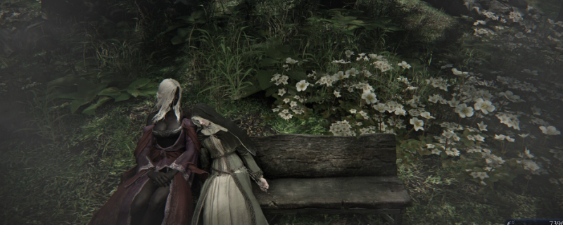 《艾尔登法环:黑夜君临》送葬者小众玩法攻略