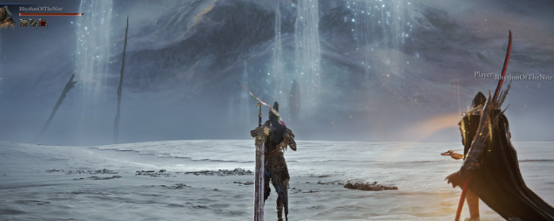 《艾尔登法环：黑夜君临》学者玩法攻略