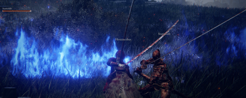 《艾尔登法环：黑夜君临》执行者主流玩法攻略