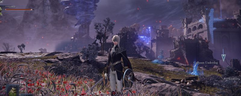 《艾尔登法环：黑夜君临》隐士游玩攻略