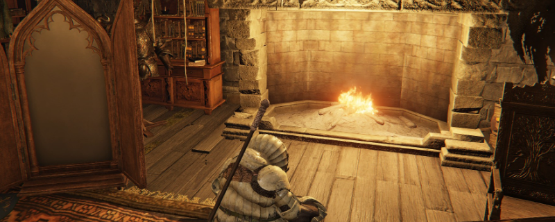 《艾尔登法环：黑夜君临》复仇者主流玩法攻略