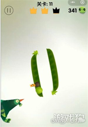 疯狂的鸽子第11关怎么过3