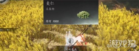 燕云十六声滹沱麦子有哪些成就2