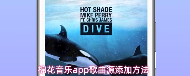 棉花音乐app歌曲源添加方法