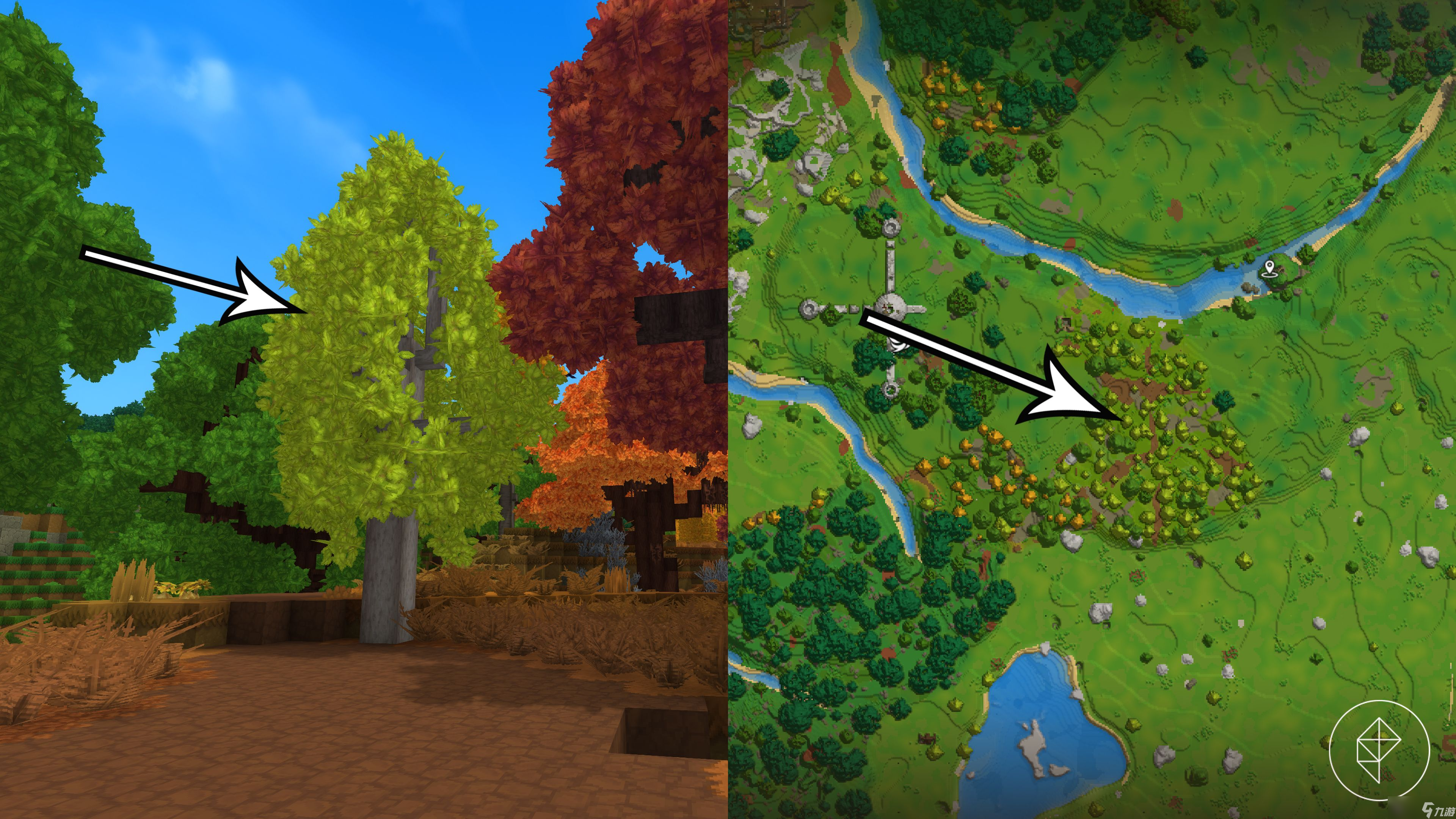 如何在 Hytale 中获得浅色木原木